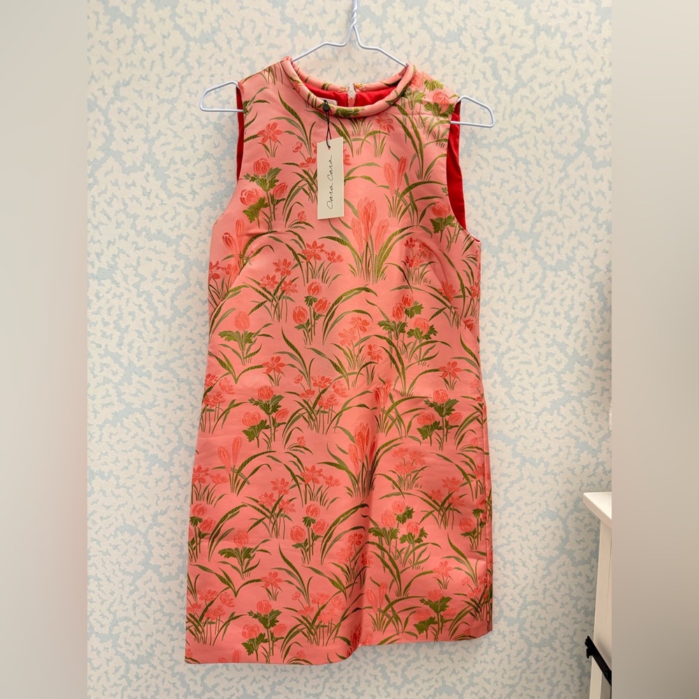 Cara Cara NWT XS  🌸💚